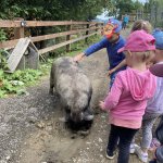 phoca_thumb_m_vlet km 52 Fotogalerie